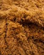 Featherlight Caramel
