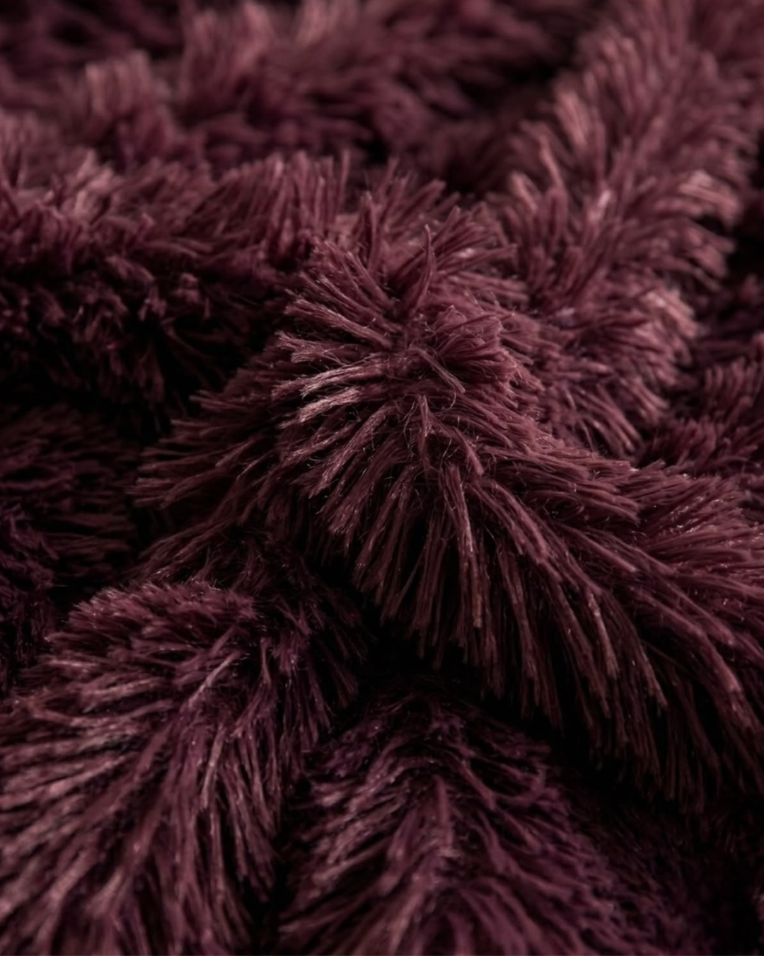 Featherlight Plum