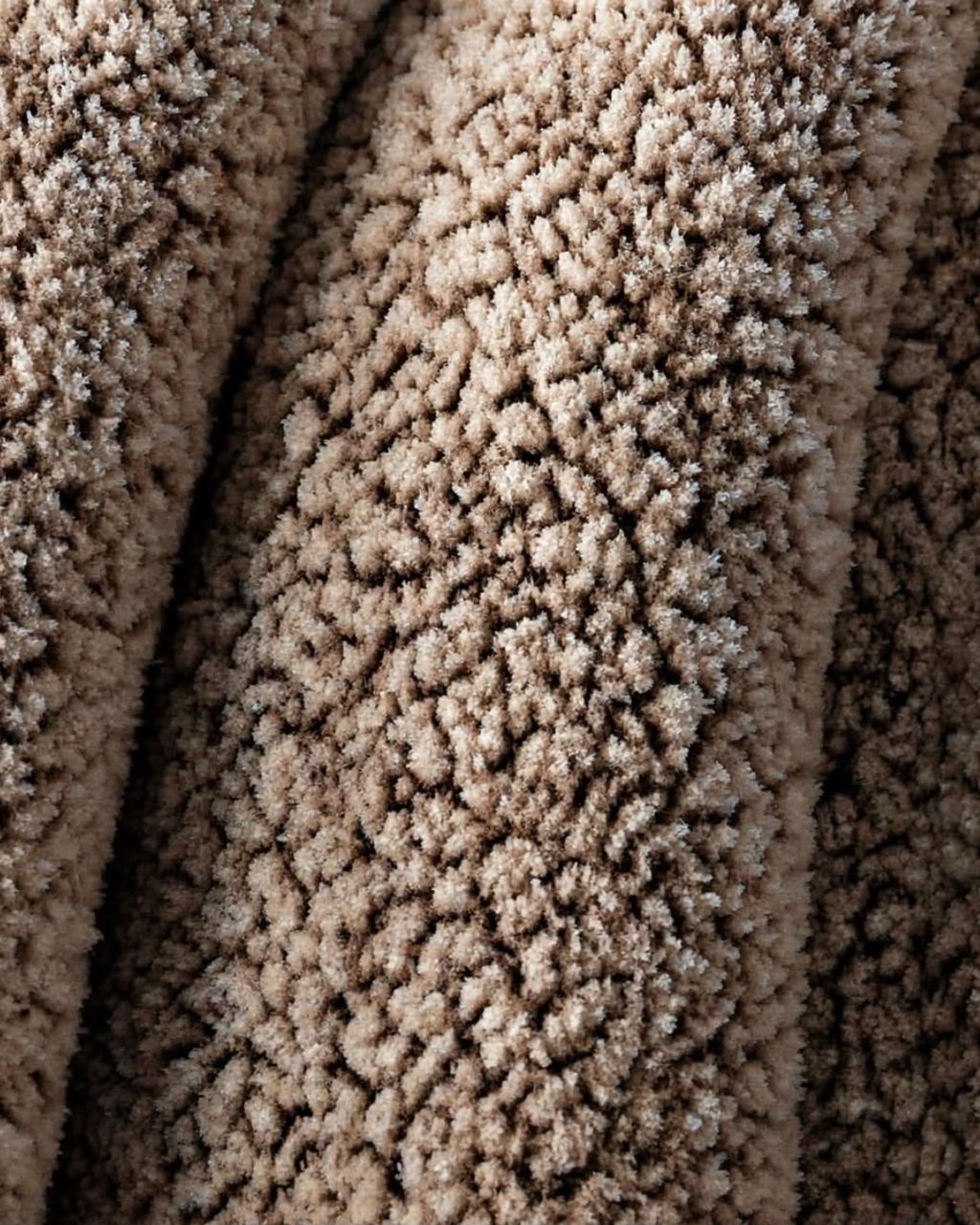 Snow White Soft Brown